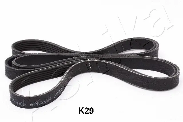 V-Ribbed Belt (96-0K-K29)