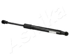 Gas Spring, boot/cargo area (ZSA01057)