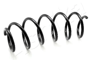 Suspension Spring (ZCA2879H)