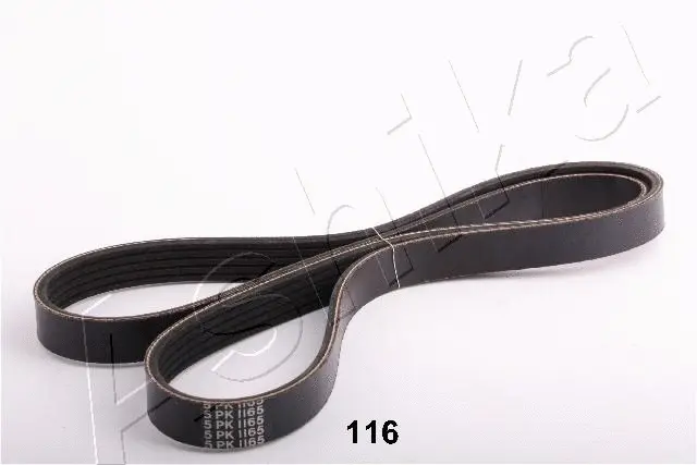 V-Ribbed Belt (96-01-116)
