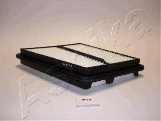 Air Filter (20-04-497)