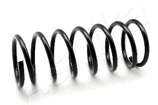 Suspension Spring (ZCA5167A)