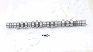 Camshaft (16HY004)