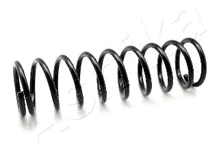 Suspension Spring (ZCA1891A)