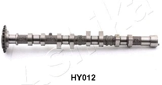 Camshaft (16HY012)