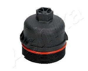 Cap, oil filter housing (160-00-024)