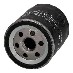 Oil Filter (10-01-189)