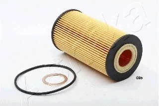 Oil Filter (10-ECO085)