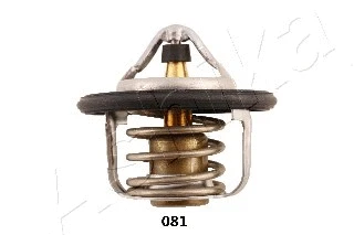 Thermostat, coolant (22-081)