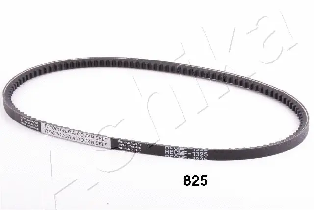 V-Belt (94-08-825)