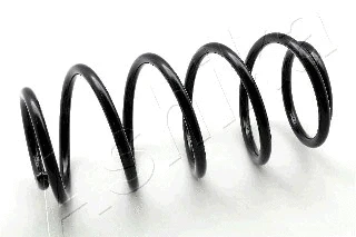 Suspension Spring (ZCA1005H)