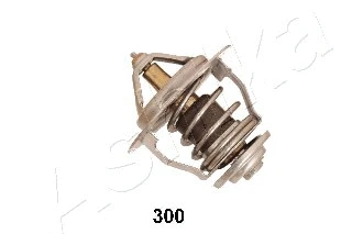 Thermostat, coolant (38-03-300)