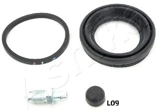 Repair Kit, brake caliper (120-0L-L09)