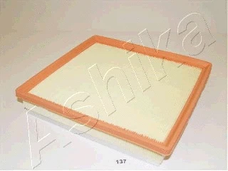 Air Filter (20-01-137)