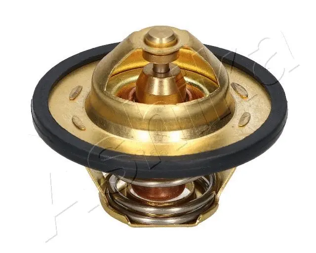 Thermostat, coolant (38-00-0601)