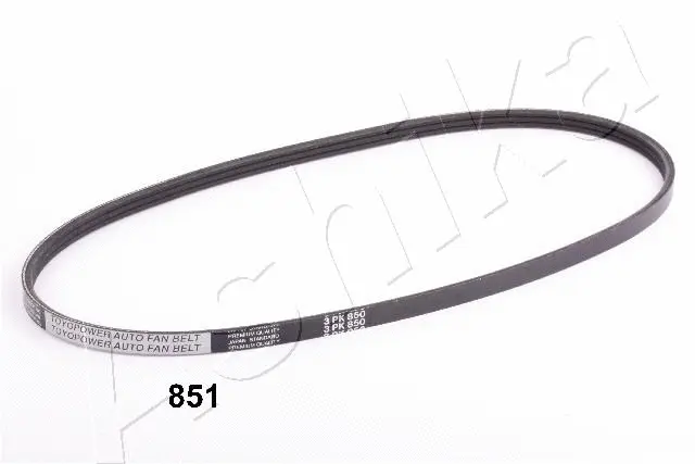 V-Ribbed Belt (96-08-851)