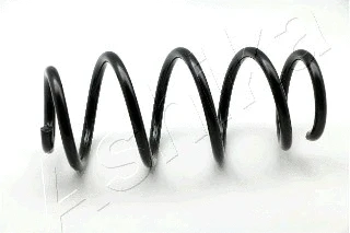 Suspension Spring (ZCA7161A)