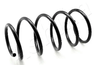 Suspension Spring (ZCA1162C)