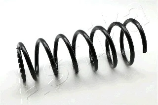 Suspension Spring (ZCA5464I)