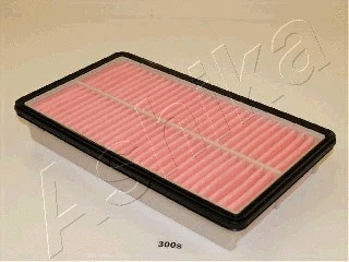 Air Filter (20-03-300)