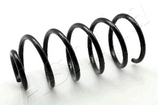 Suspension Spring (ZCA6538G)