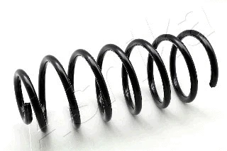 Suspension Spring (ZCA1695C)