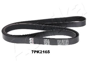 V-Ribbed Belt (112-7PK2165)
