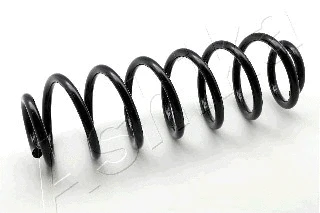 Suspension Spring (ZCA5544H)