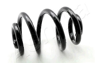 Suspension Spring (ZCA5154X)