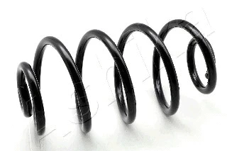 Suspension Spring (ZCA6791X)