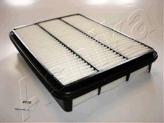 Air Filter (20-02-251)
