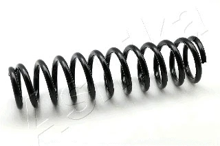 Suspension Spring (ZCA1092D)
