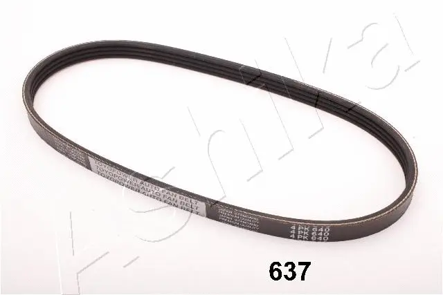 V-Ribbed Belt (96-06-637)
