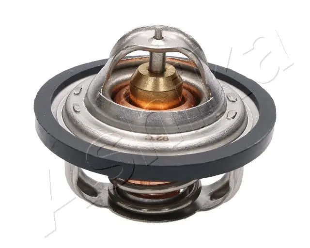 Thermostat, coolant (38-00-0302)
