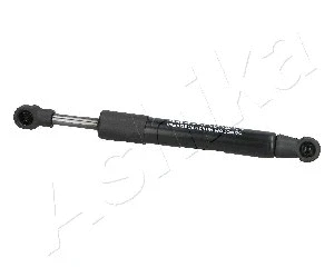 Gas Spring, boot/cargo area (ZSA09094)