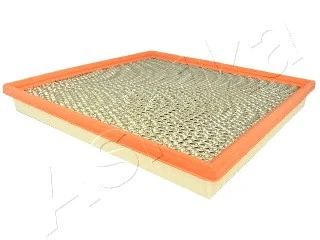 Air Filter (FA-0219JM)