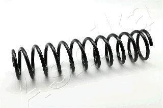 Suspension Spring (ZCA5856C)
