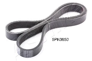 V-Ribbed Belt (112-5PK850)