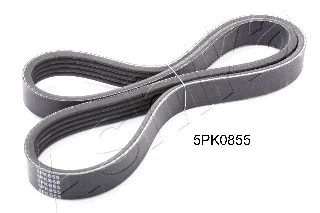 V-Ribbed Belt (112-5PK855)