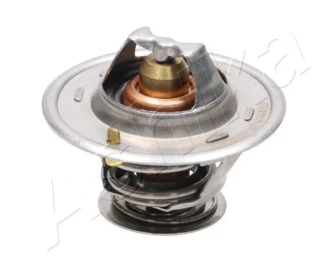 Thermostat, coolant (38-00-0205)