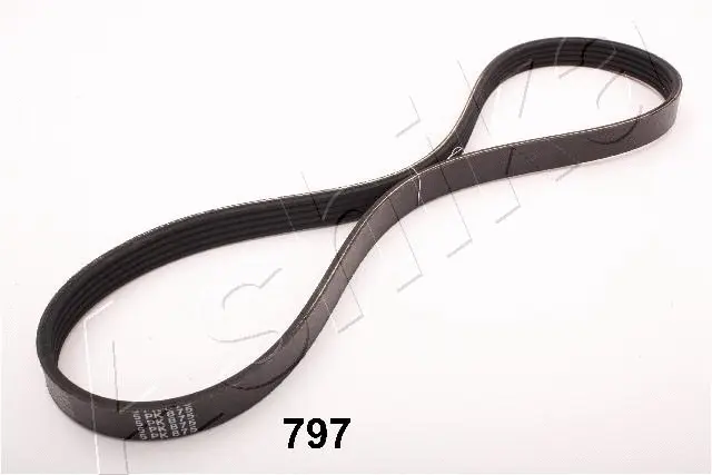 V-Ribbed Belt (96-07-797)