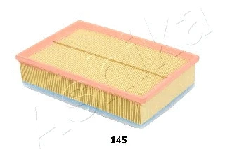Air Filter (20-01-145)