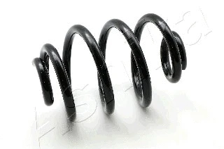 Suspension Spring (ZCA5263X)