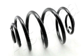 Suspension Spring (ZCA5112J)