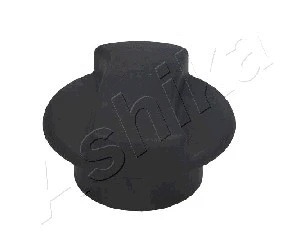 Cap, radiator (33-00-008)
