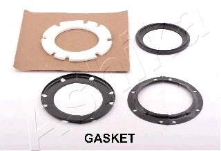 Gasket, differential (GASKET)