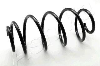 Suspension Spring (ZCA2084H)