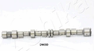 Camshaft (16DW000)