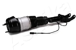 Air Suspension Strut
