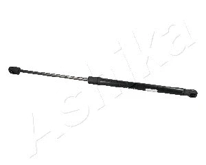 Gas Spring, boot/cargo area (ZSA04006)